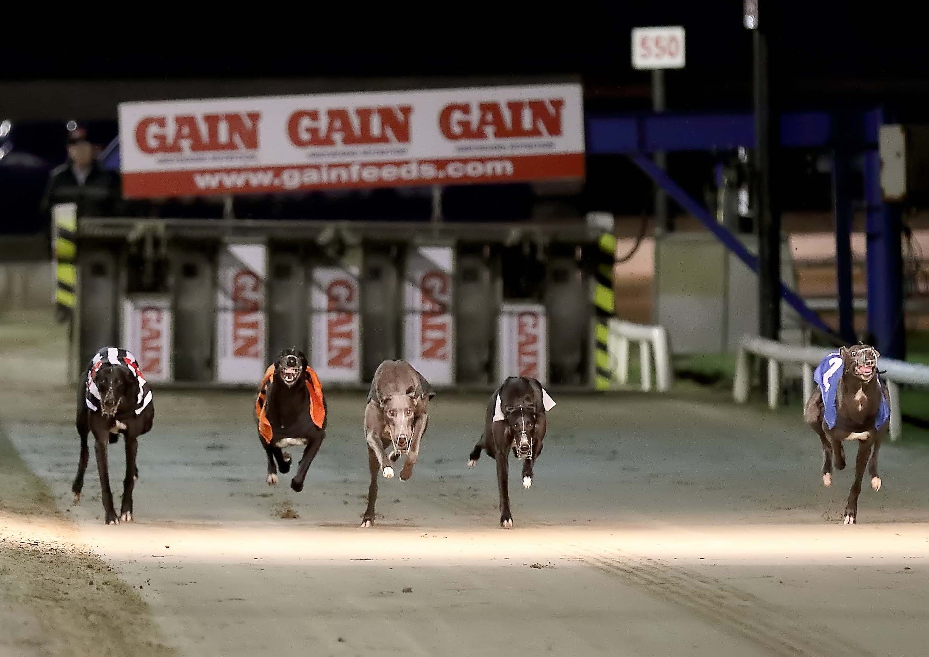 2019 Gain Nutrition Select Stakes Final