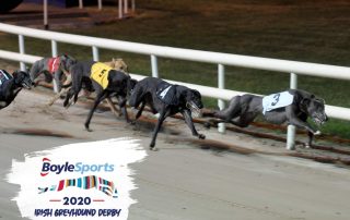 Newinn Sheedy Irish Derby Action
