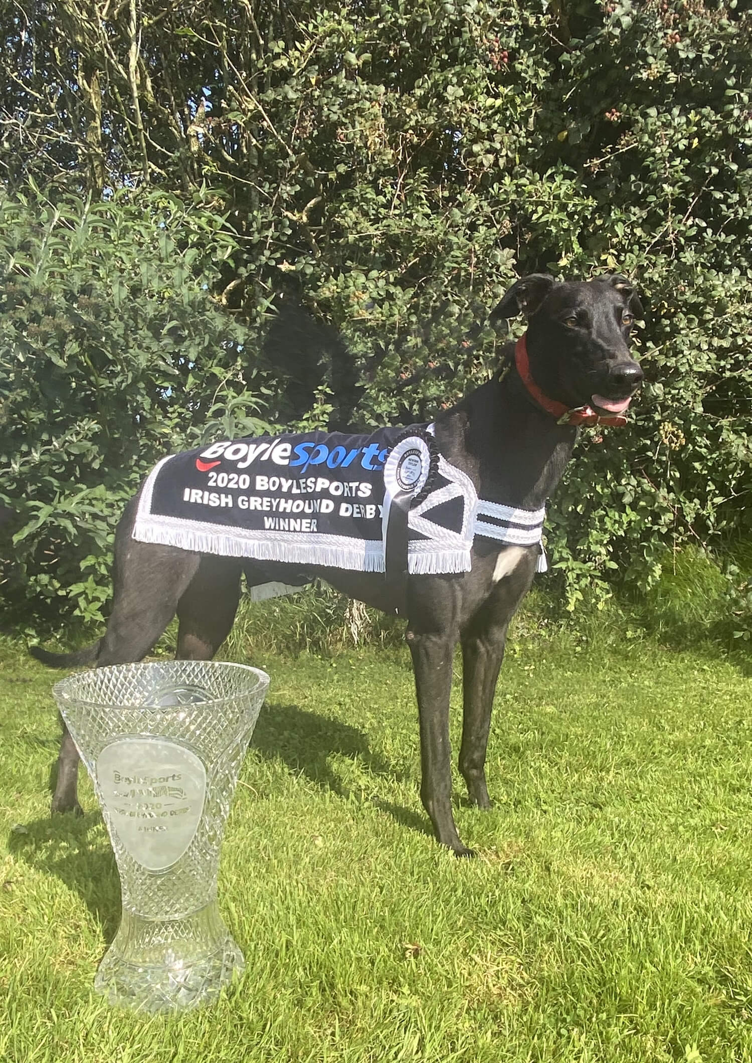 Newinn Taylor & Derby Trophy