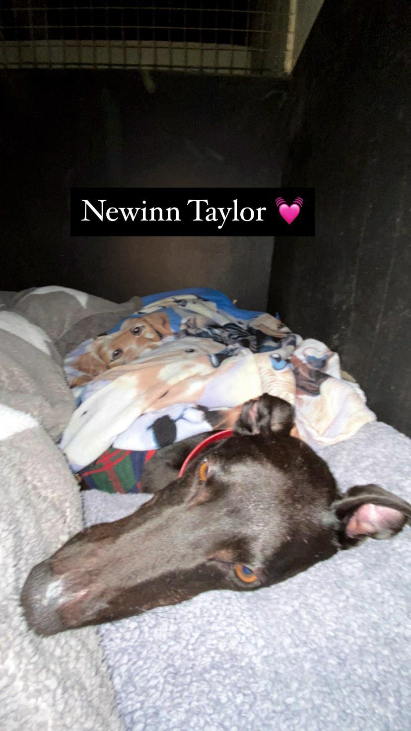 Taylor