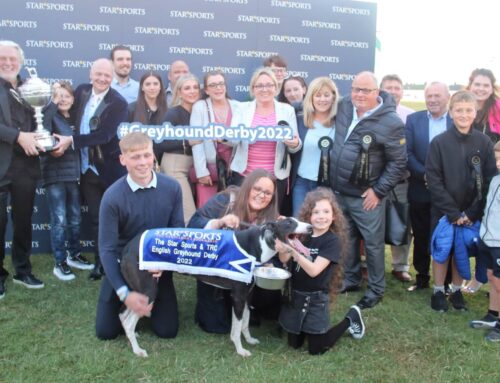 Romeo Magico – Star Sports & TRC English Greyhound Derby Champion
