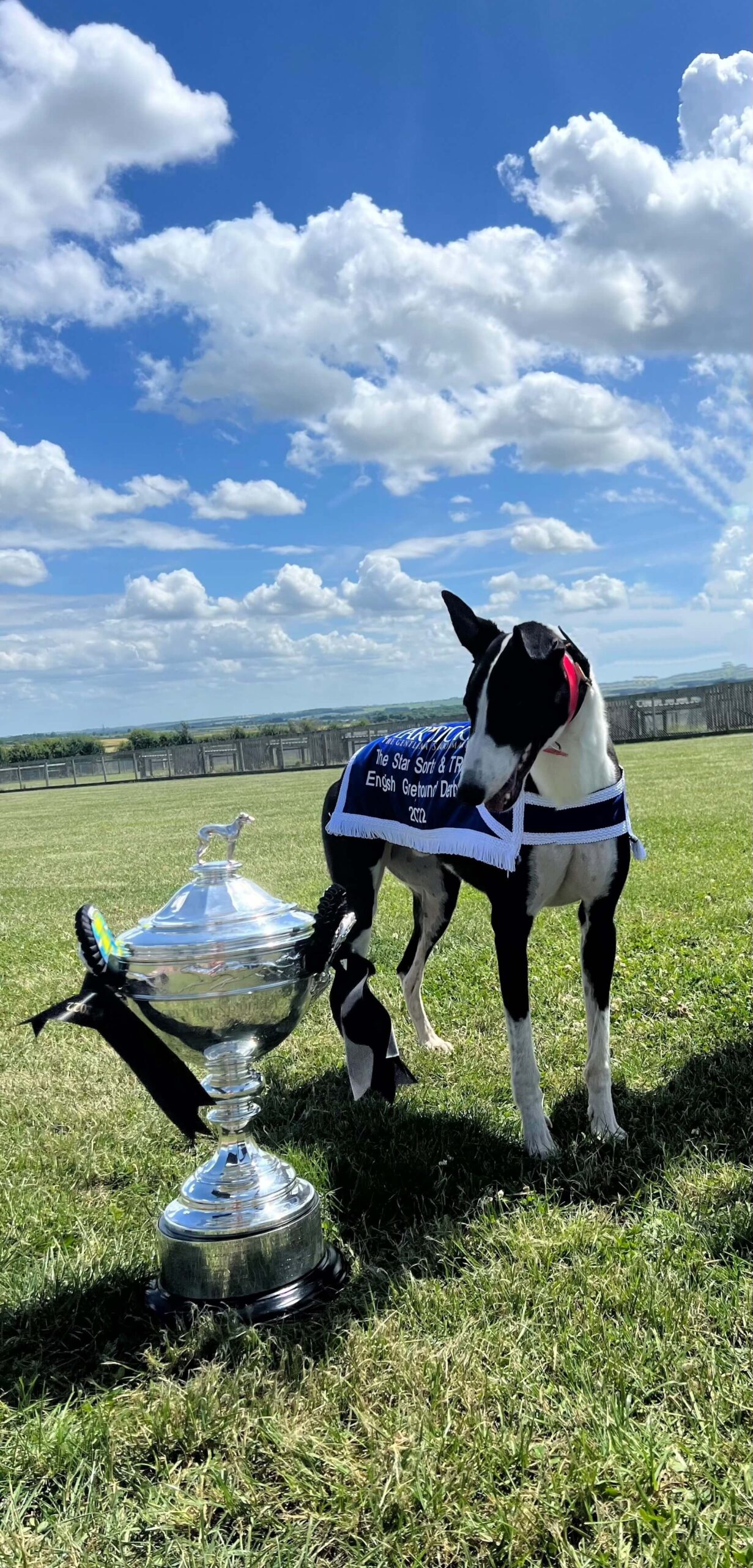 Magico and Trophy 1
