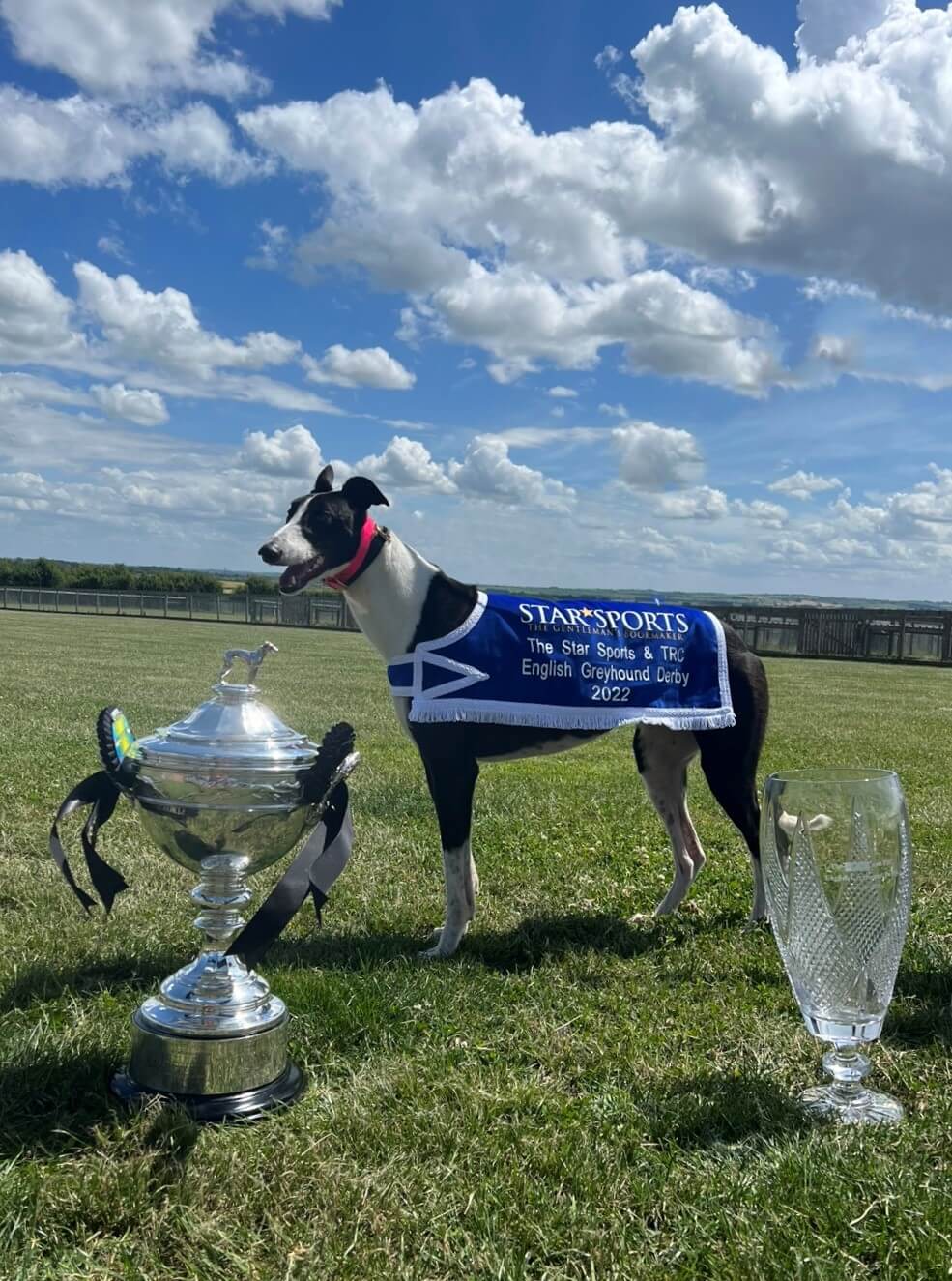 Magico and Trophy 2