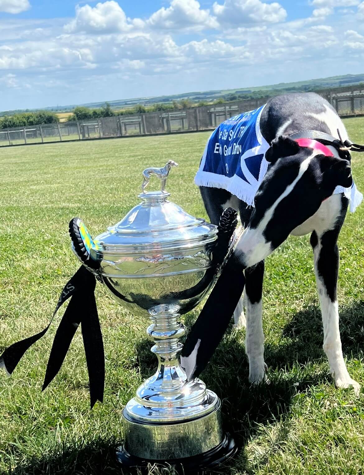 Magico and Trophy 3