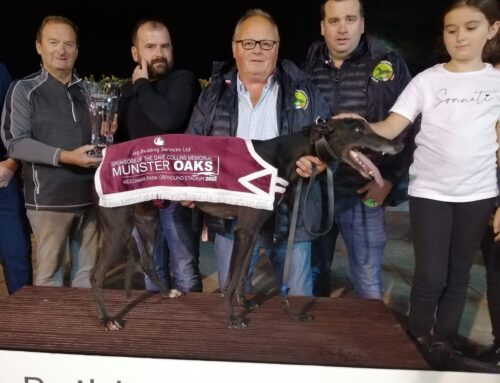 Clogheen Lass – The Dave Collins Memorial Munster Oaks 2022