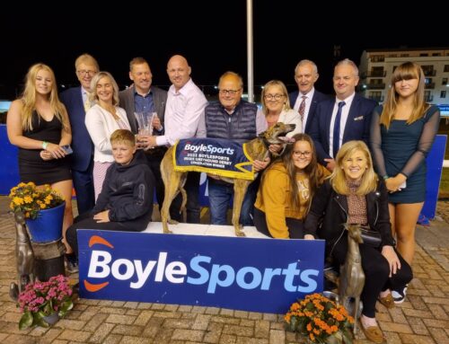 Cryptopunk – BoyleSports Irish Greyhound Derby Consolation 550 Final