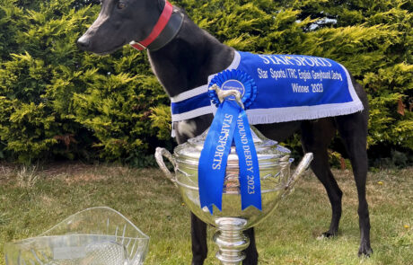 Gaytime Nemo – Trophy 4