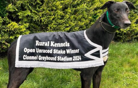 Romeo Taylor – Rual Kennels Unraced 2024 jacket 1