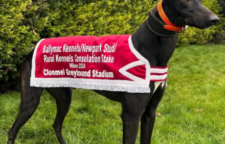 Untold Dollar – Rual Kennels Consolation Final 2024 jacket 3