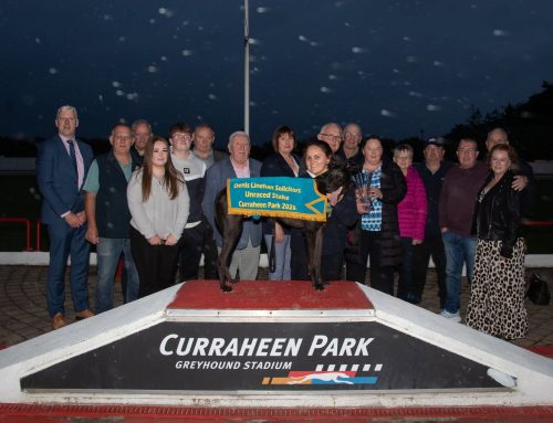 Fahrenheit Ace – The Denis Linehan Solicitors Open Unraced 525 Stake Final