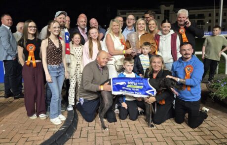 Bockos Gold – 2026 BoyleSports Irish Greyhound Derby Champion