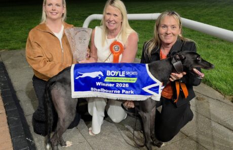 Bockos Gold – 2026 BoyleSports Irish Greyhound Derby Champion Ladies