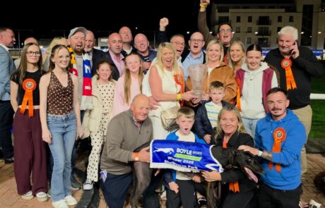 Bockos Gold – 2026 BoyleSports Irish Greyhound Derby Champion Large
