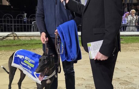 Bockos Gold – Timmy Interview
